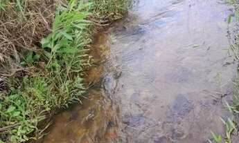 Imagem 3: 10 Alqueires e 47 litros Em Córrego do Ouro