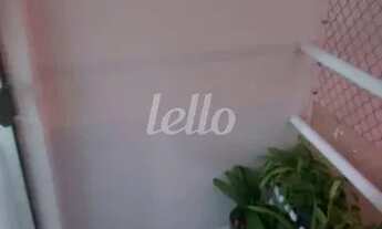 Imagem 5: Santo André - Apartamento Padrão - Jardim Stella