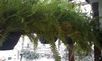 Imagem 2: Apartamento em Cobertura para Venda no bairro Jardim São Paulo, 3 dorm, 1 vagas, 80 m2 Não