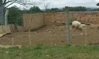 Imagem 2: Terreno Terreno / lote com venda por R$25.000