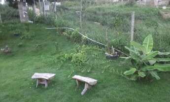 Imagem 3: Vendo do uma linda chácara 1.000m região de caete roças novas