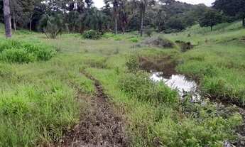 Imagem 2: 10 Alqueires e 47 litros Em Córrego do Ouro