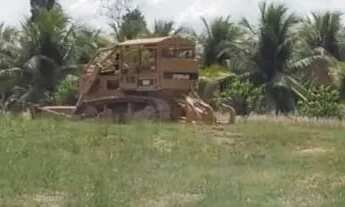 Imagem 4: Fazenda na pista Rodovia BR174, Km 62. 2.888,90ha. 50.000 Pés Açaí. Coqueiral, Hortaliças