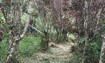 Imagem 4: Terreno, 6.264m² - R$ 900.000,00, Parque do Imbuí - cod 553