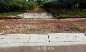 Imagem 7: Terreno Est Manacapuru km61 é 50x2000 na principal a 35 minutos da ponte