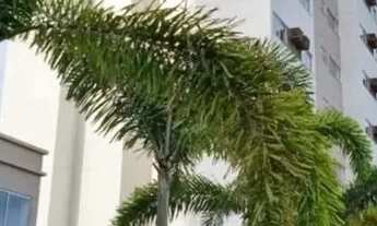 Imagem 5: Apartamento em Pau amarelo com academia e piscina 2 Qts 6 andar rua calçada