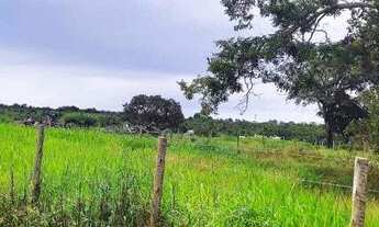 Imagem 6: Fazenda 38 Alqueires Vale do Araguaia