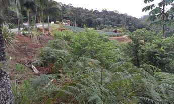 Imagem 6: Terrenos em Domingos Martins