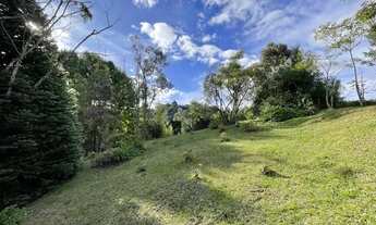 Imagem 3: Casa em terreno grande dentro de condomínio fechado