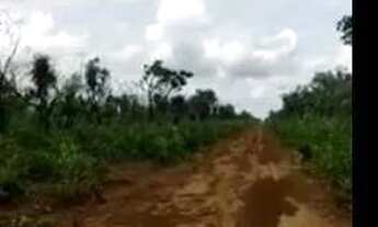 Imagem 10: FAZENDA À VENDA EM SANTA MARIA DAS BARREIRAS-PA-2.094 HEC. (DUPLA APTIDÃO