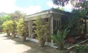 Imagem 2: Linda Chácara em Aldeia Camaragibe KM 7