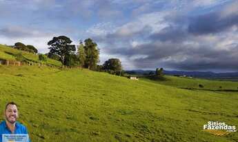 Imagem 3: 19 Hectares área rural - Andradas - Minas Gerais
