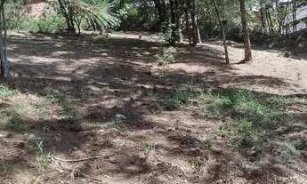 Imagem 6: Lindos terenos pra venda de barbada em novo Hamburgo