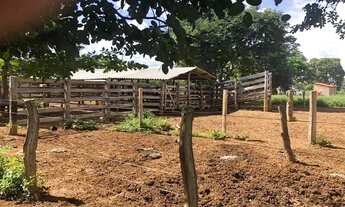 Imagem 7: MARA ROSA-GO ... vendo fazenda 21 alqueires goiano confira