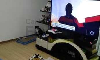 Imagem 4: Apartamento - Metro Luz - ao lado Rua das Noivas. 2 dormitórios