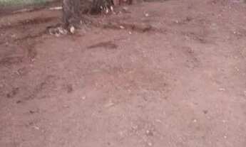 Imagem: Vendo uma chácara com 4 hectares (40,000m)