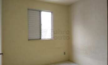 Imagem 4: Apartamento Padrão em Pelotas