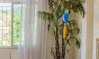 Imagem 7: Apartamento em Maracanã - Rio de Janeiro