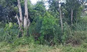 Imagem 4: Lote 10x25 Vendo ou Troco