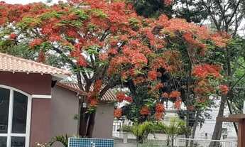 Imagem 4: Cenário de Monet Corrêas