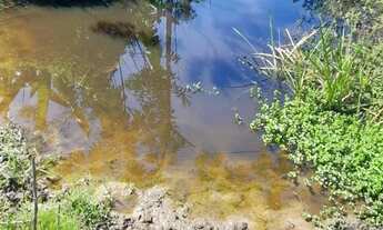 Imagem 5: Excelente sítio de 05 alqueires em Silva Jardim RJ