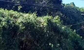 Imagem 3: Terreno em Loteamento no João Paulo