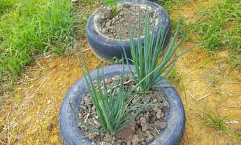 Imagem 7: Vendo Casa com 1 dormitório