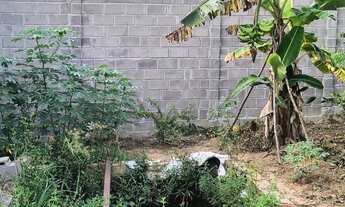 Imagem 5: Vendo otimo terreno com uma otima estrutura