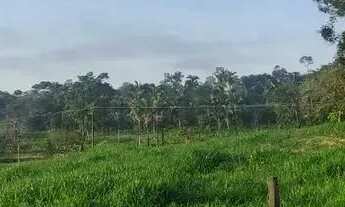 Imagem 4: Fazenda a venda Zona Rural - Uruaçu - GO