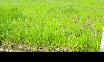 Imagem: Lote Jao oportunidade