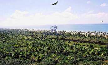 Imagem 7: Área com 6.000.000 m² - 1,4 km frente mar - R$ 150 mi