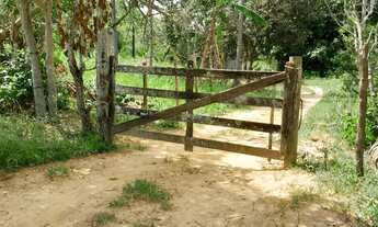 Imagem 2: Venda-se está propriedade de 7,5 alqueires e meio no Município de presidente Kennedy/ES