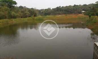 Imagem 7: Chácara a 35km de Cascavel codigo: 127742