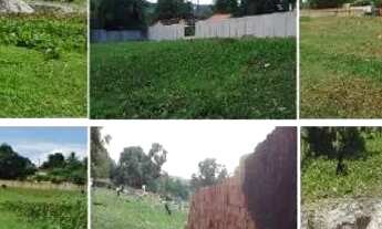 Imagem 4: Lote rural á venda