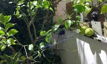 Imagem 6: Casa para alugar em Santana de Parnaíba, Alphaville, com 4 suítes, com 400 m², Residencial