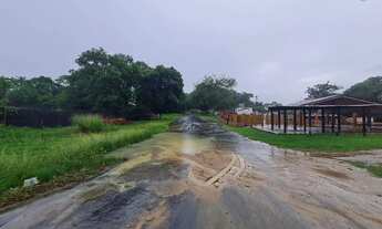 Imagem 4: Imóvel para aluguel tem 5000 metros quadrados em Tarumã - Manaus - AM