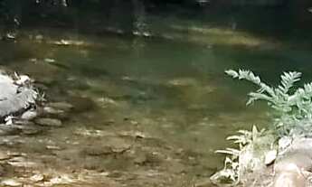 Imagem 3: Sítio para venda em Sodrelândia na Região Serrana em Trajano de Morais/RJ, 6,5 Alqueires