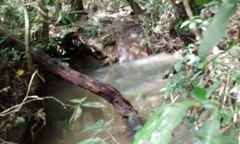 Imagem 7: Chácara 3 alqueires em Vianópolis