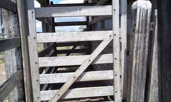 Imagem 3: Excelente fazenda com casa sede, curral, boas aguadas, rio e muito capim , próxima / Feira