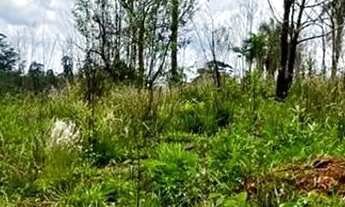 Imagem: O ESPAÇO PERFEITO PARA CONSTRUIR OU INVESTIR