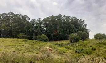 Imagem: Sítio no bairro Corredor dos Farias em