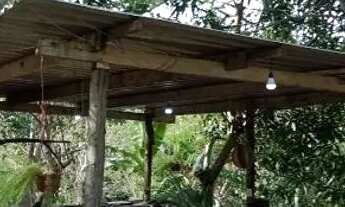 Imagem 3: Sítio no ariauzinho aqui no Iranduba