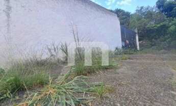 Imagem: Terreno de 291m² na Vila Mafra Oportunidade