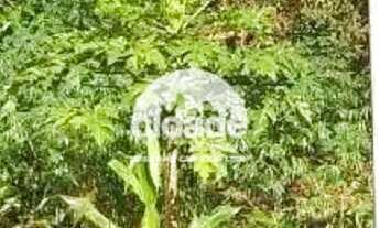 Imagem 5: Terreno à venda, Centro - Cascavel/Pr