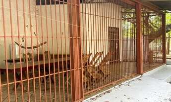 Imagem 6: Chácara no condomínio beira lago KM 29 sentida lajeado, com 2.810m² de lote e 130m² área c