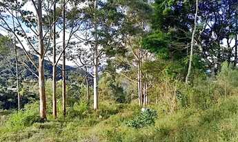 Imagem 6: Sítio à venda, 23460 m² por R$ 1.150.000,00 - Cascatinha - Nova Friburgo/RJ