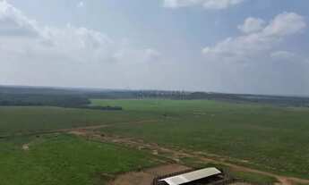 Imagem 6: FAZENDA À VENDA REGIÃO DE NOVA MUTUM MT