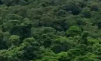 Imagem 7: Terreno na cidade de Ibiúna - SP interior