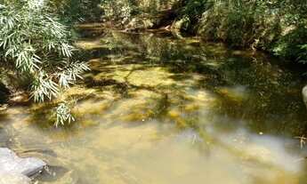 Imagem: Vendo um terreno de mil metros na região