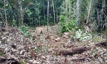 Imagem 3: Terreno para chácara sítio lazer